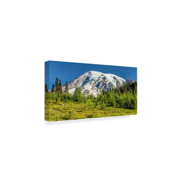 Pierre Leclerc 'Rainier Summer' Canvas Art,24x47